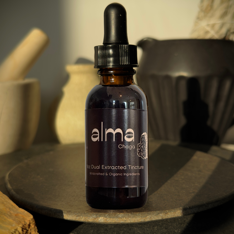 Chaga Dual Extracted Tincture