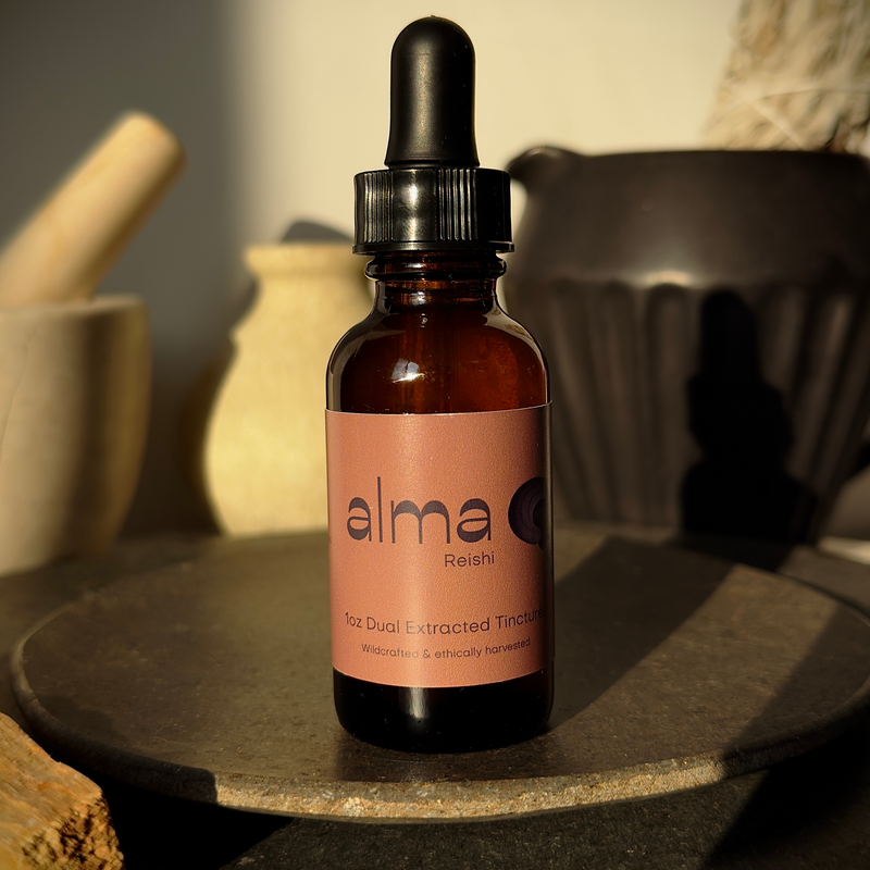 Reishi Dual Extracted Tincture image 0