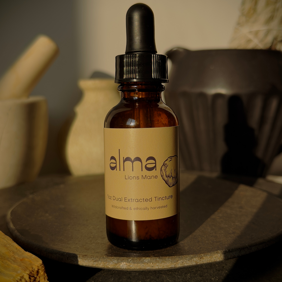 Lions Mane Dual Extracted Tincture image 0