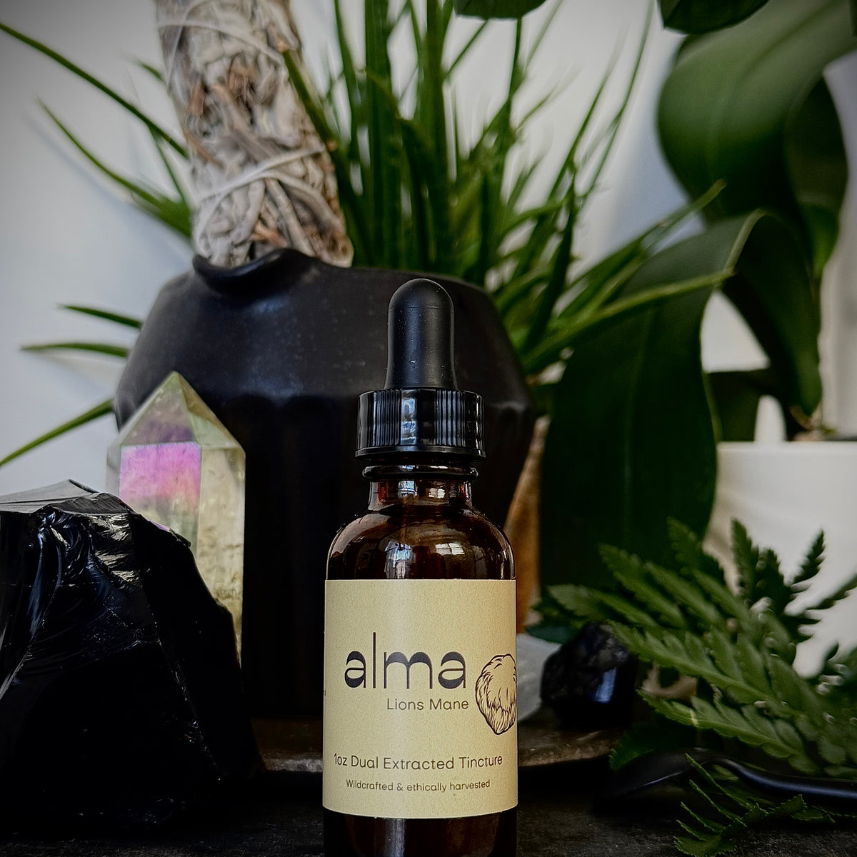 Lions Mane Dual Extracted Tincture