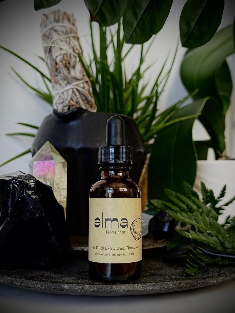 Lions Mane Dual Extracted Tincture