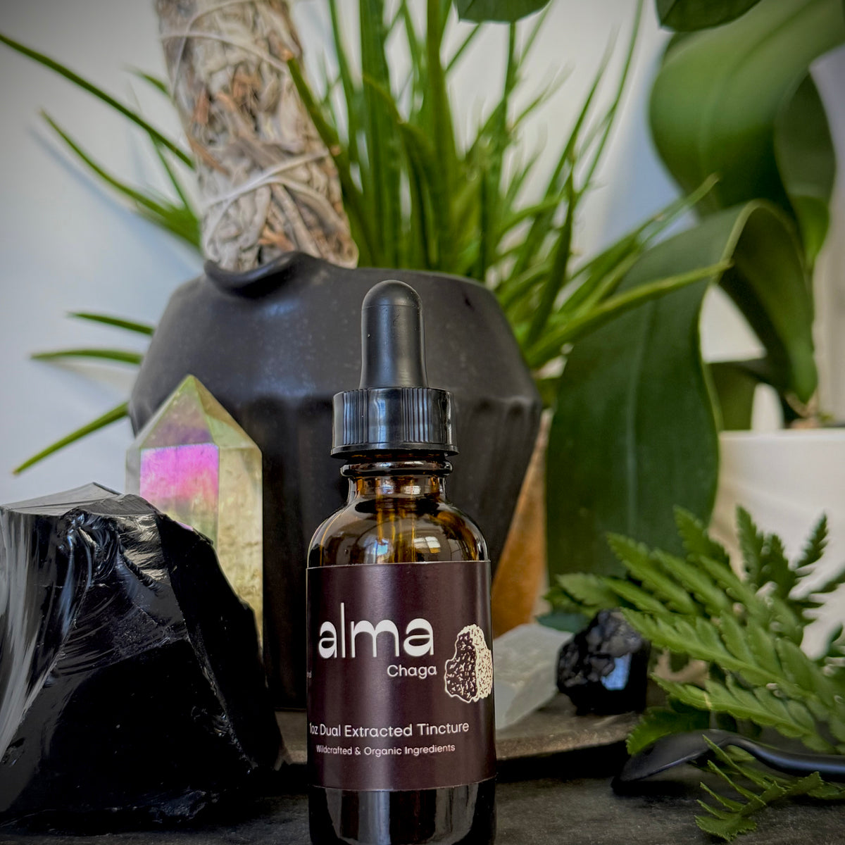 Chaga Dual Extracted Tincture