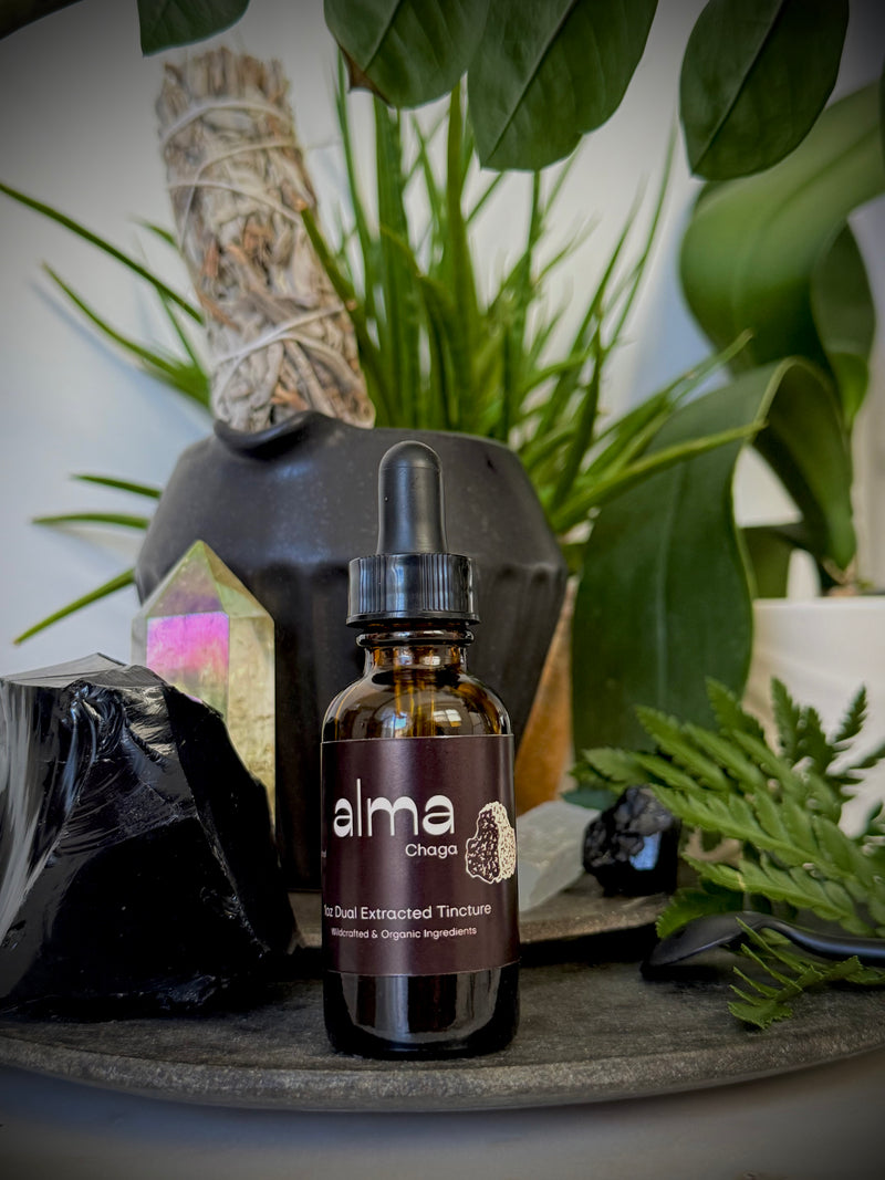Chaga Dual Extracted Tincture