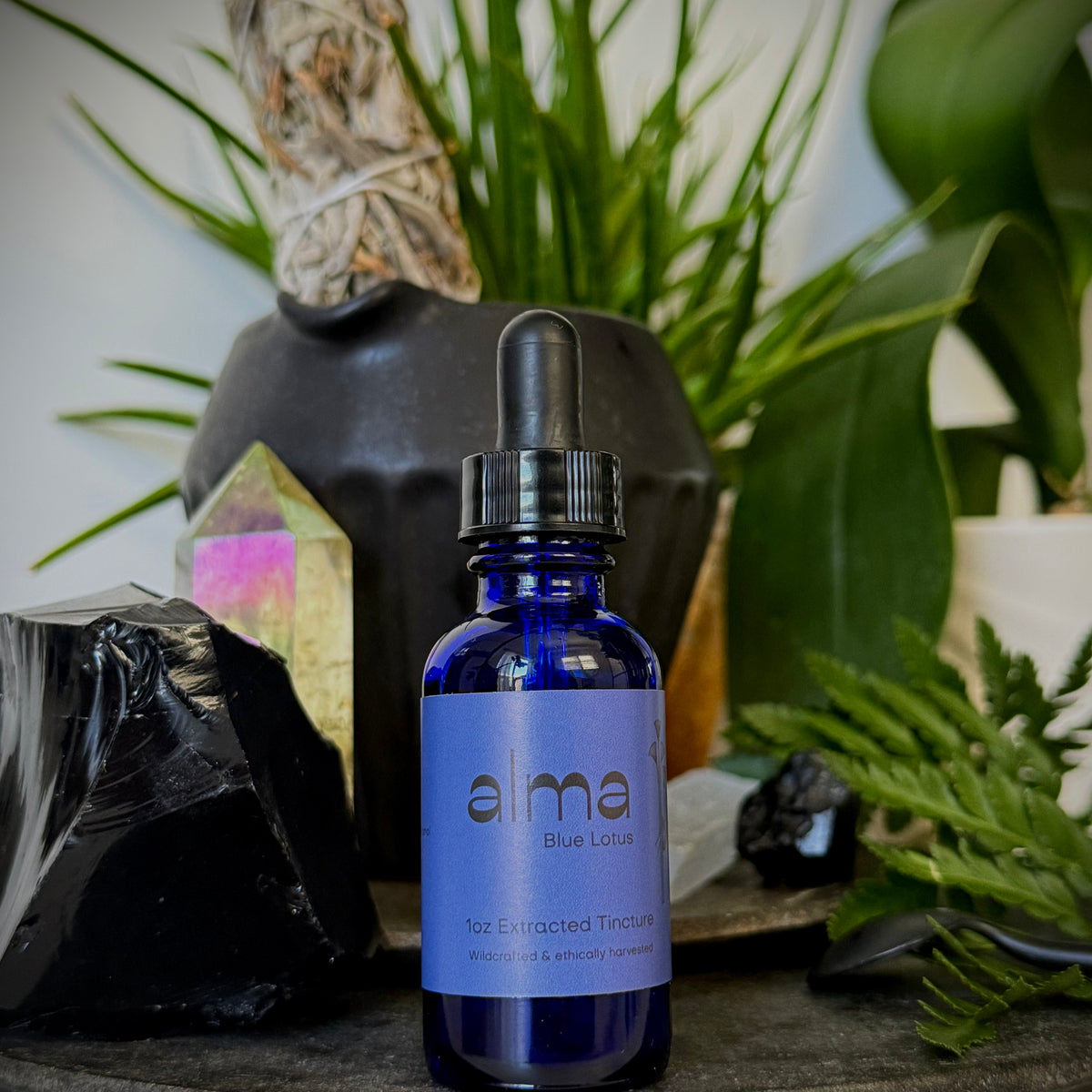 Blue Lotus Tincture