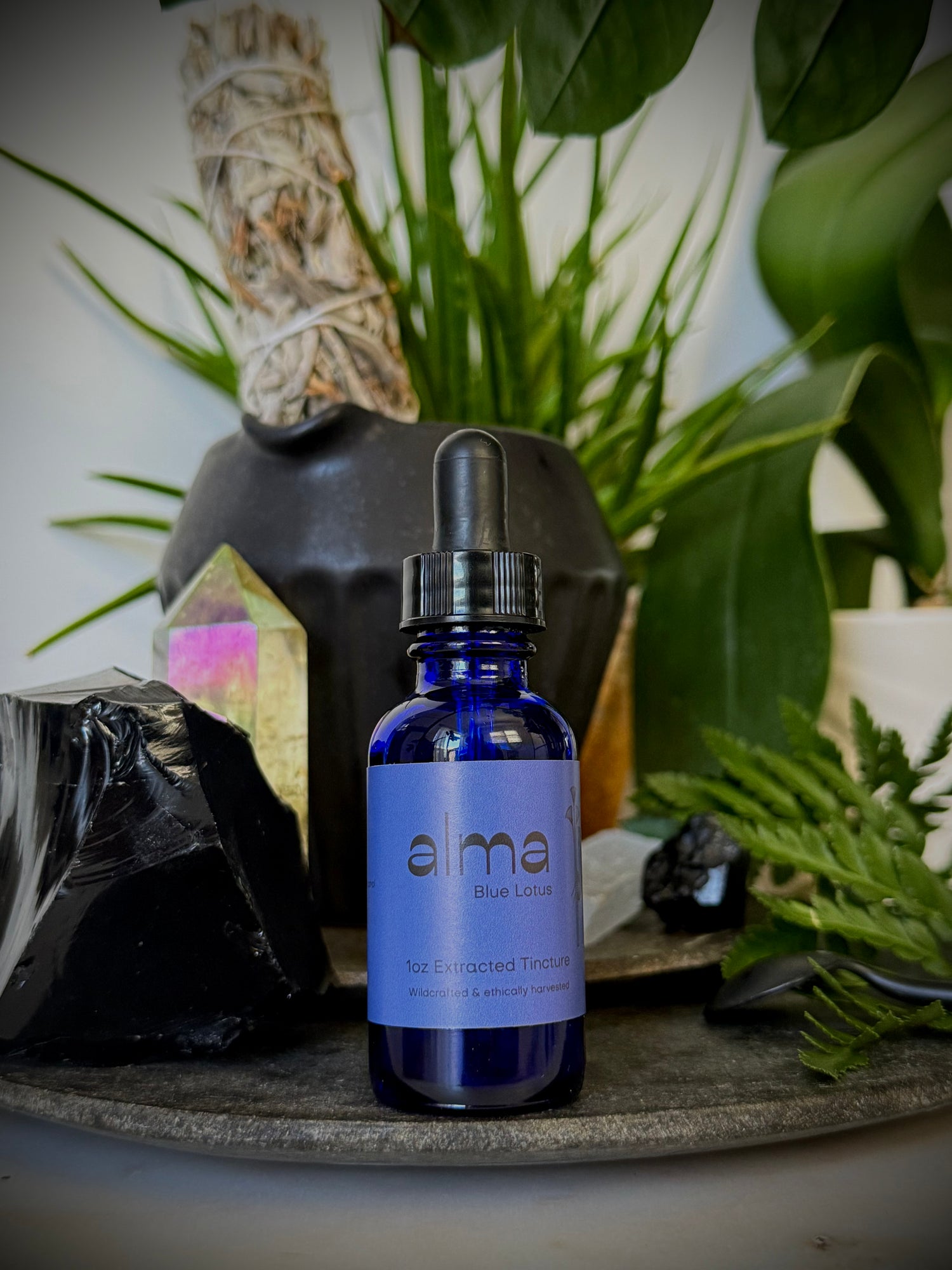 Blue Lotus Tincture
