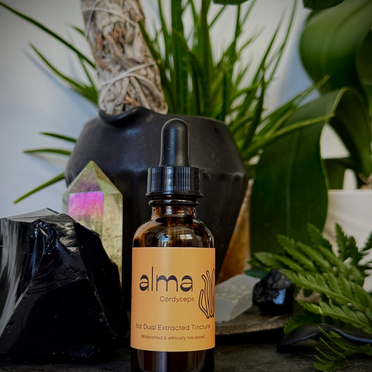 Cordyceps Dual Extracted Tincture