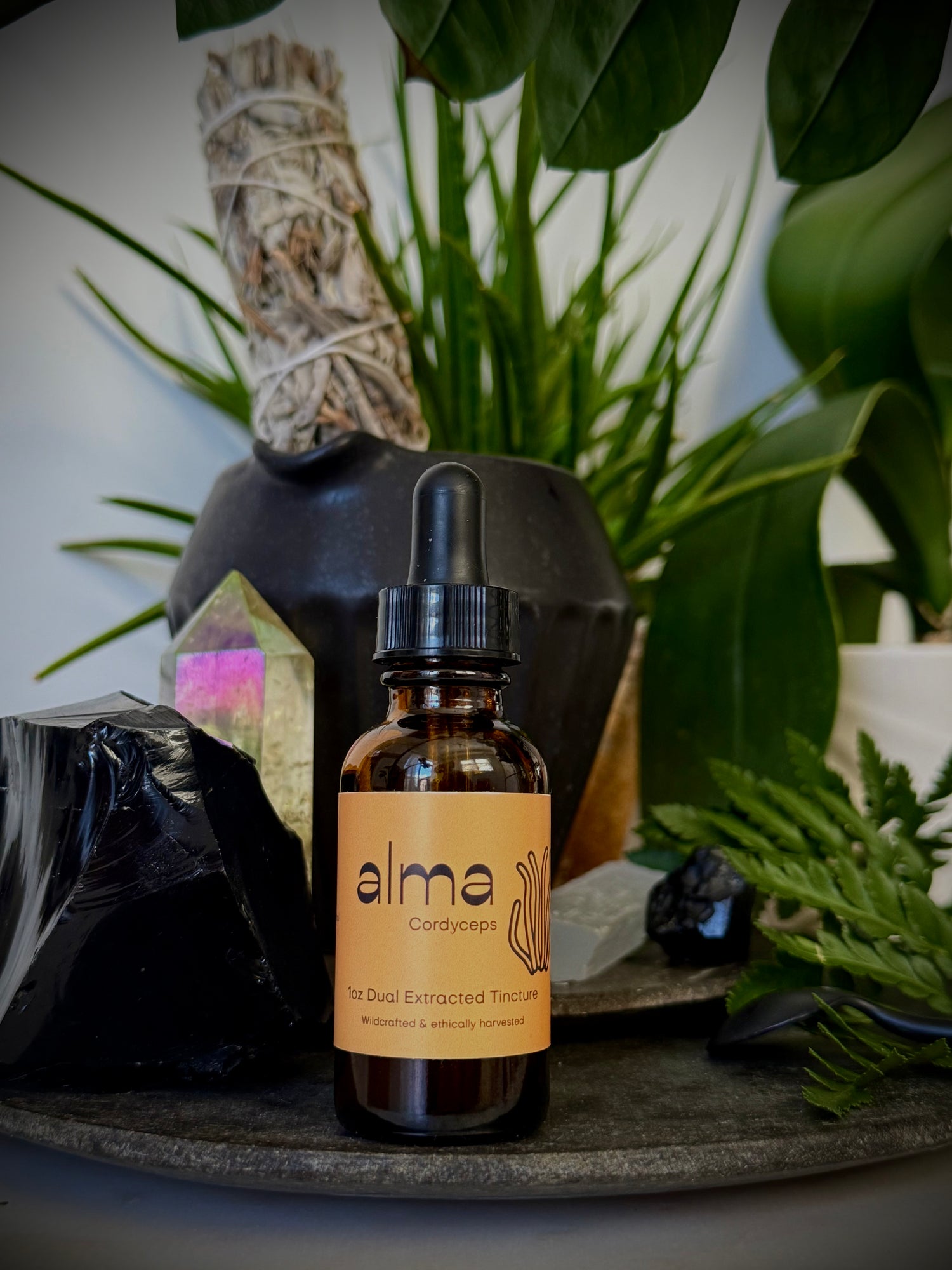 Cordyceps Dual Extracted Tincture