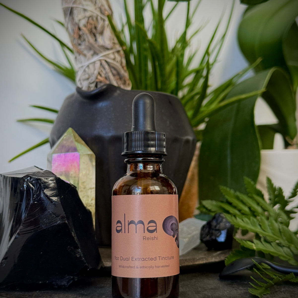 Reishi Dual Extracted Tincture