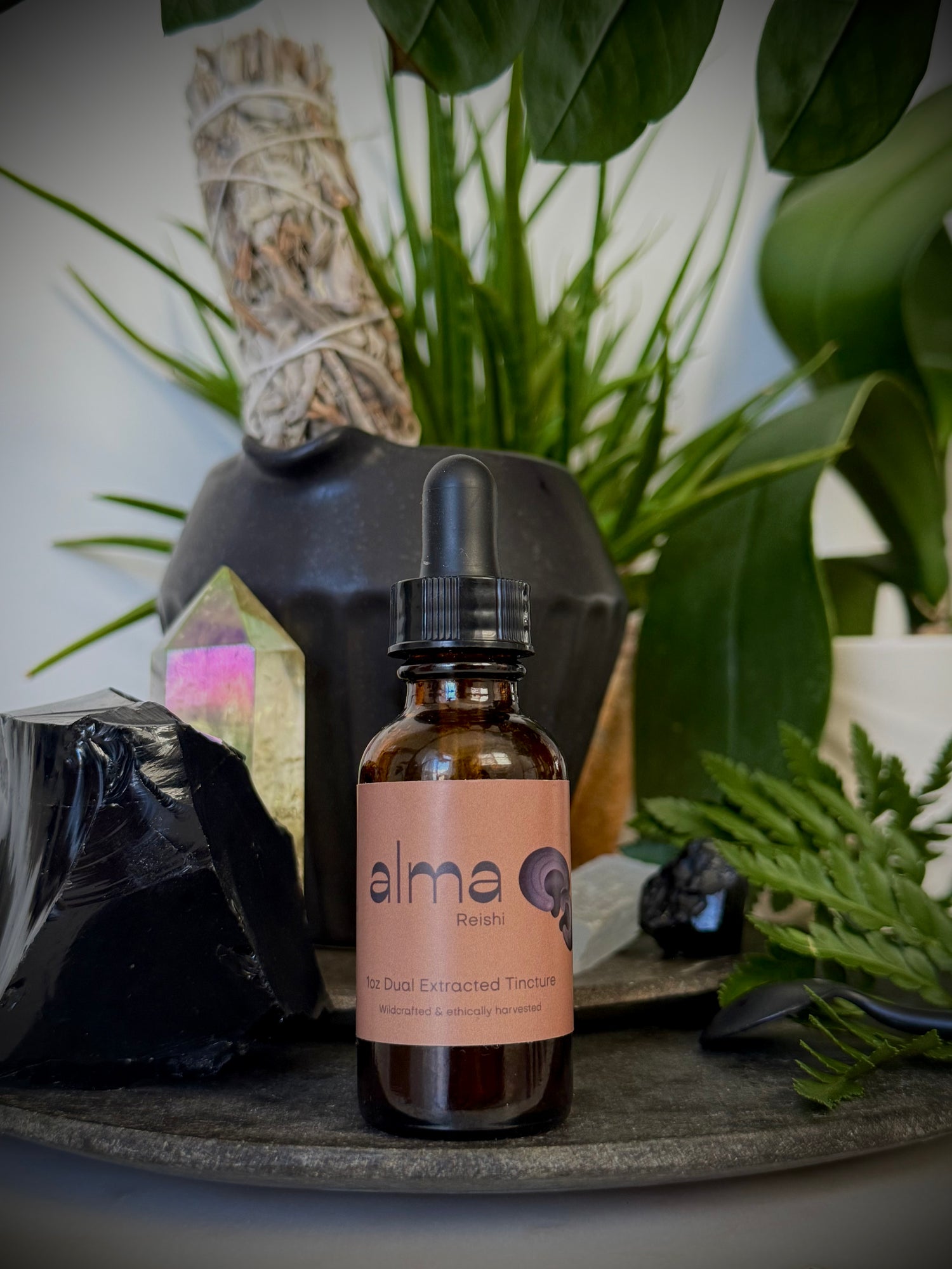 Reishi Dual Extracted Tincture