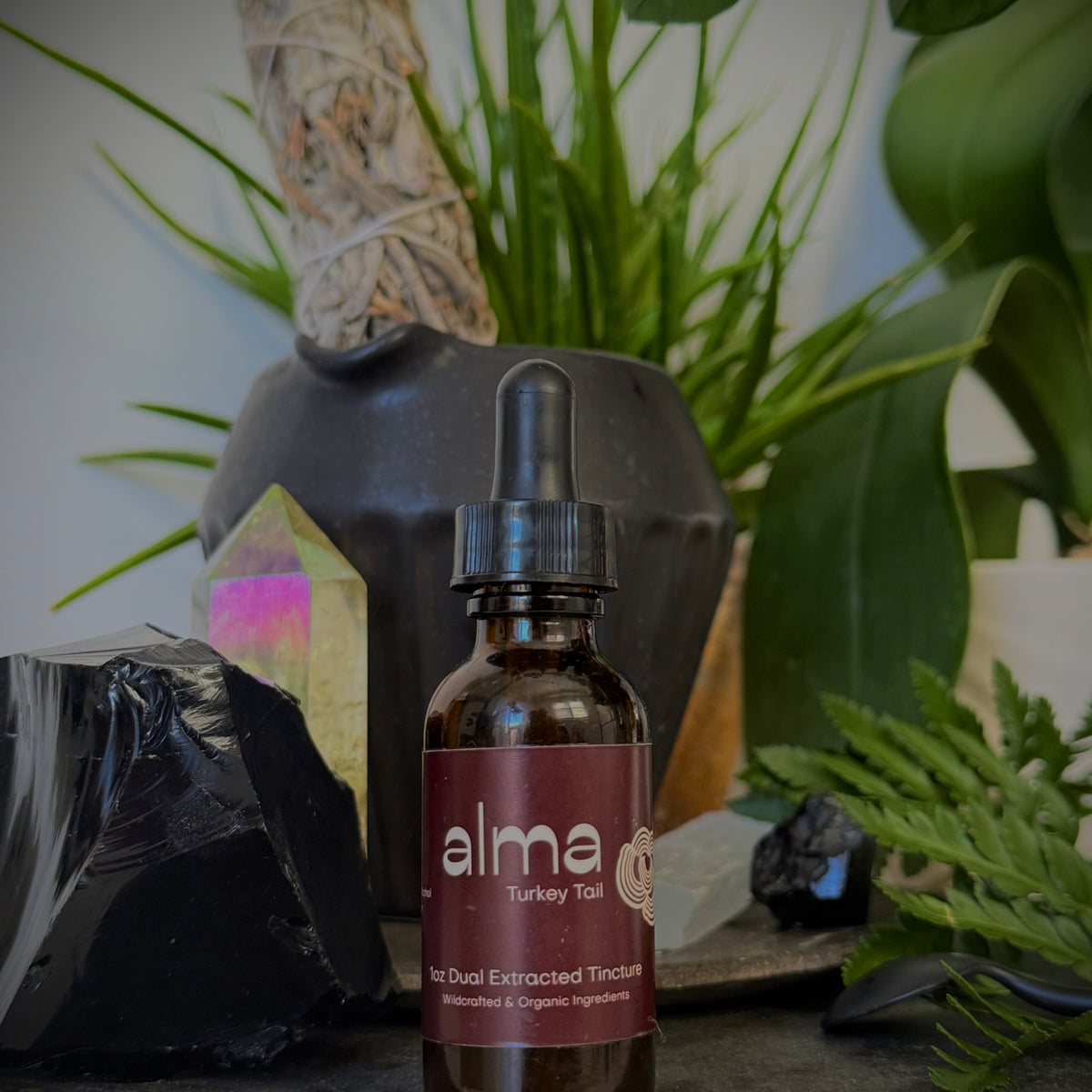 Turkey Tail Dual Extracted Tincture