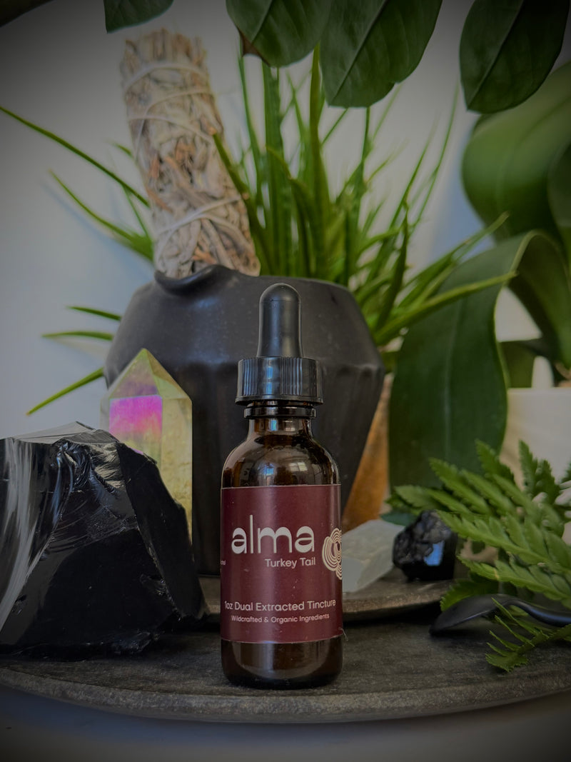 Turkey Tail Dual Extracted Tincture