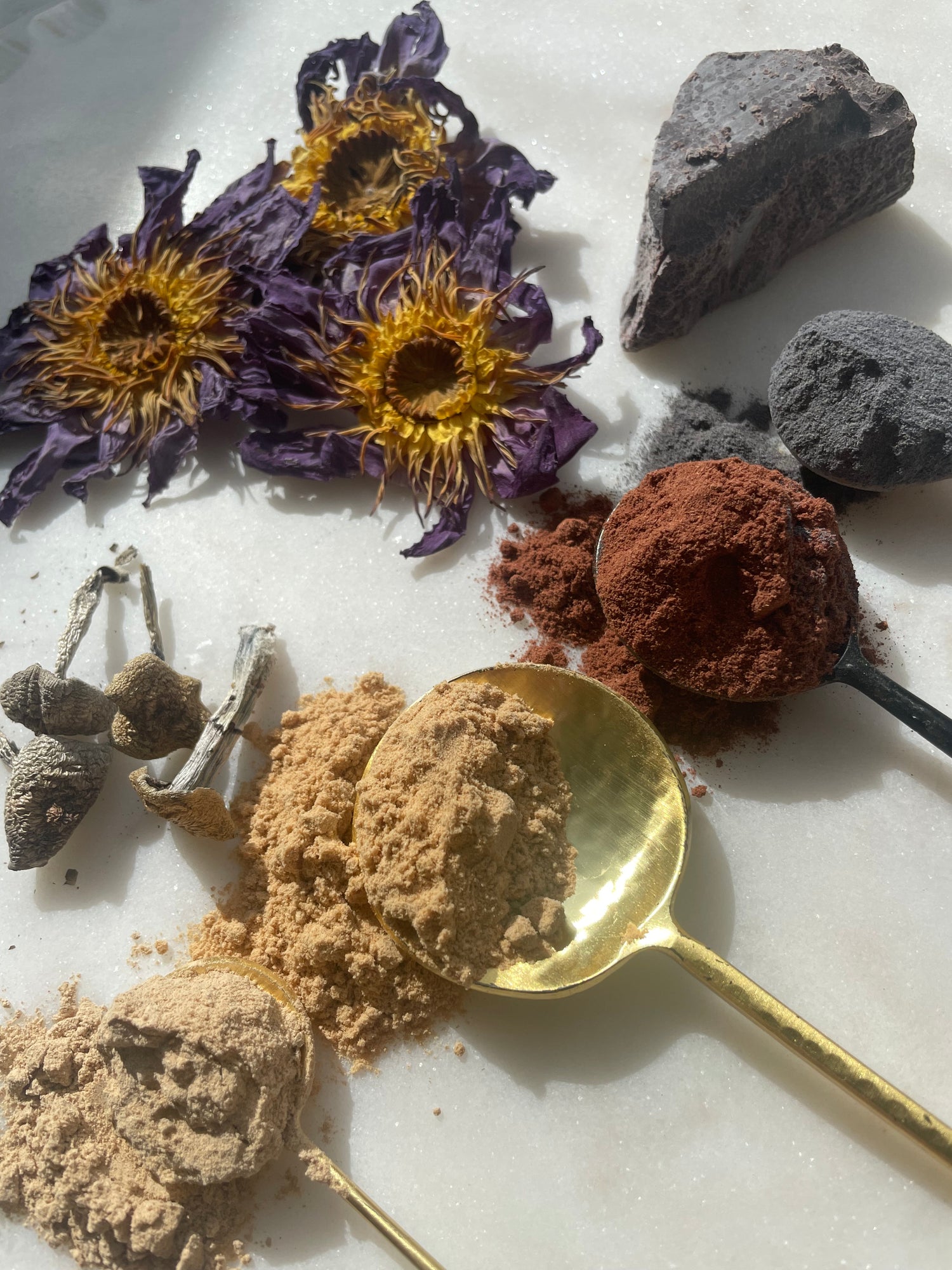 Image with text section