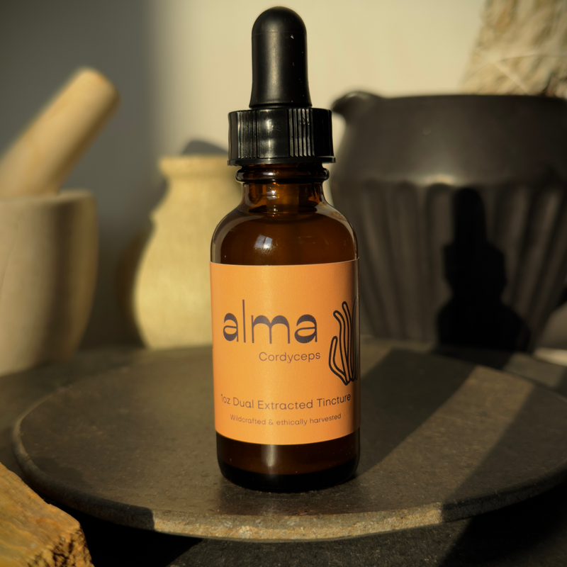 Cordyceps Dual Extracted Tincture image 0