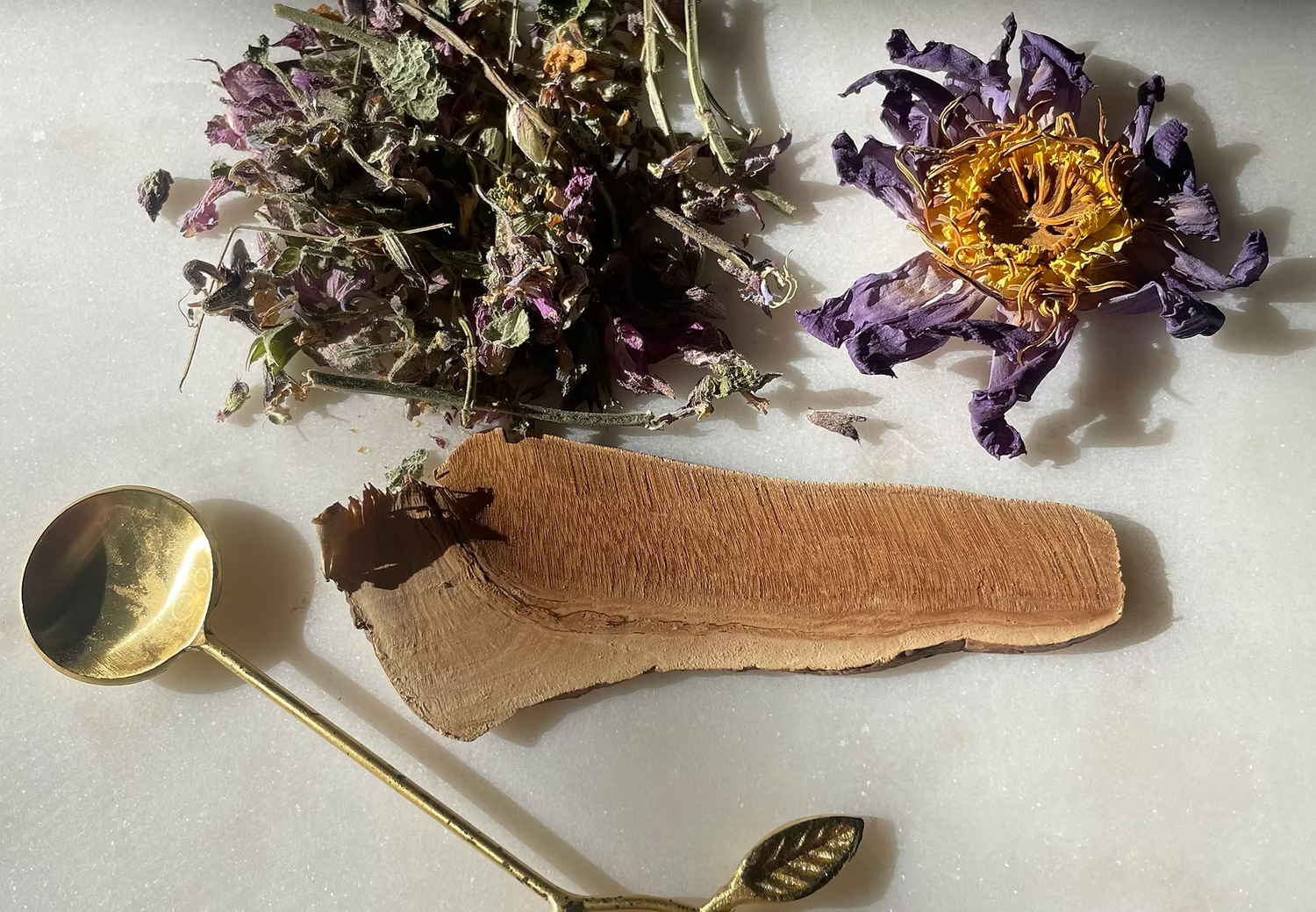 Image with text section